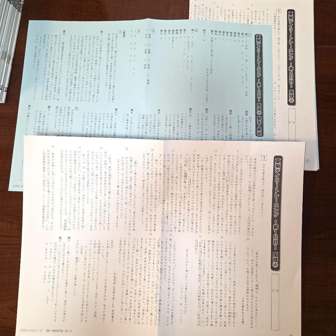 サピックス 6年 国語（平常、春期、夏期）2025年 デイリーチェック他