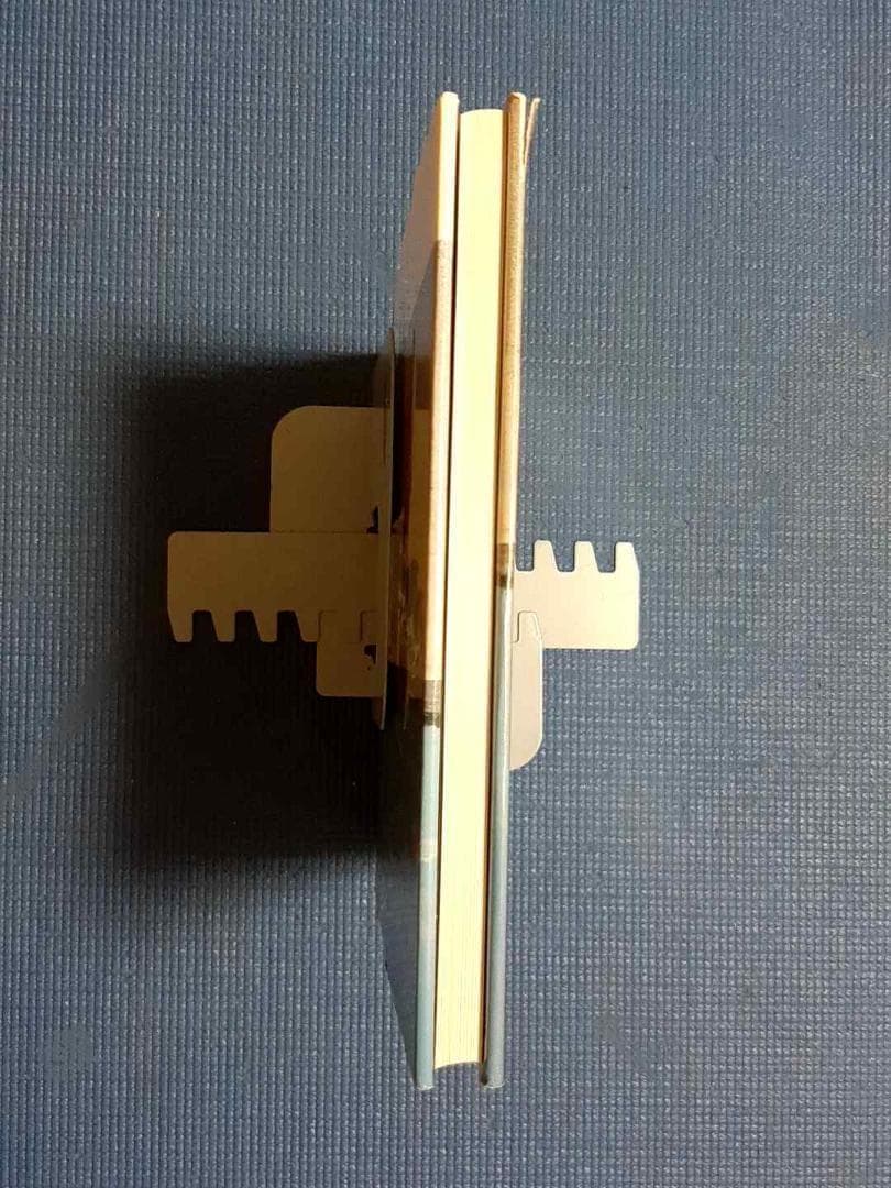 CHAPARRAL The Texas Roadrunner　シャパラル写真集