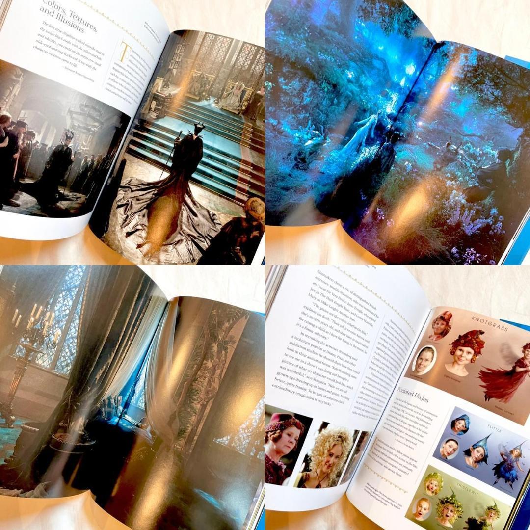 英語　絵本　洋書　アートブック　ディズニープリンセス　眠れる森の美女　オーロラ姫