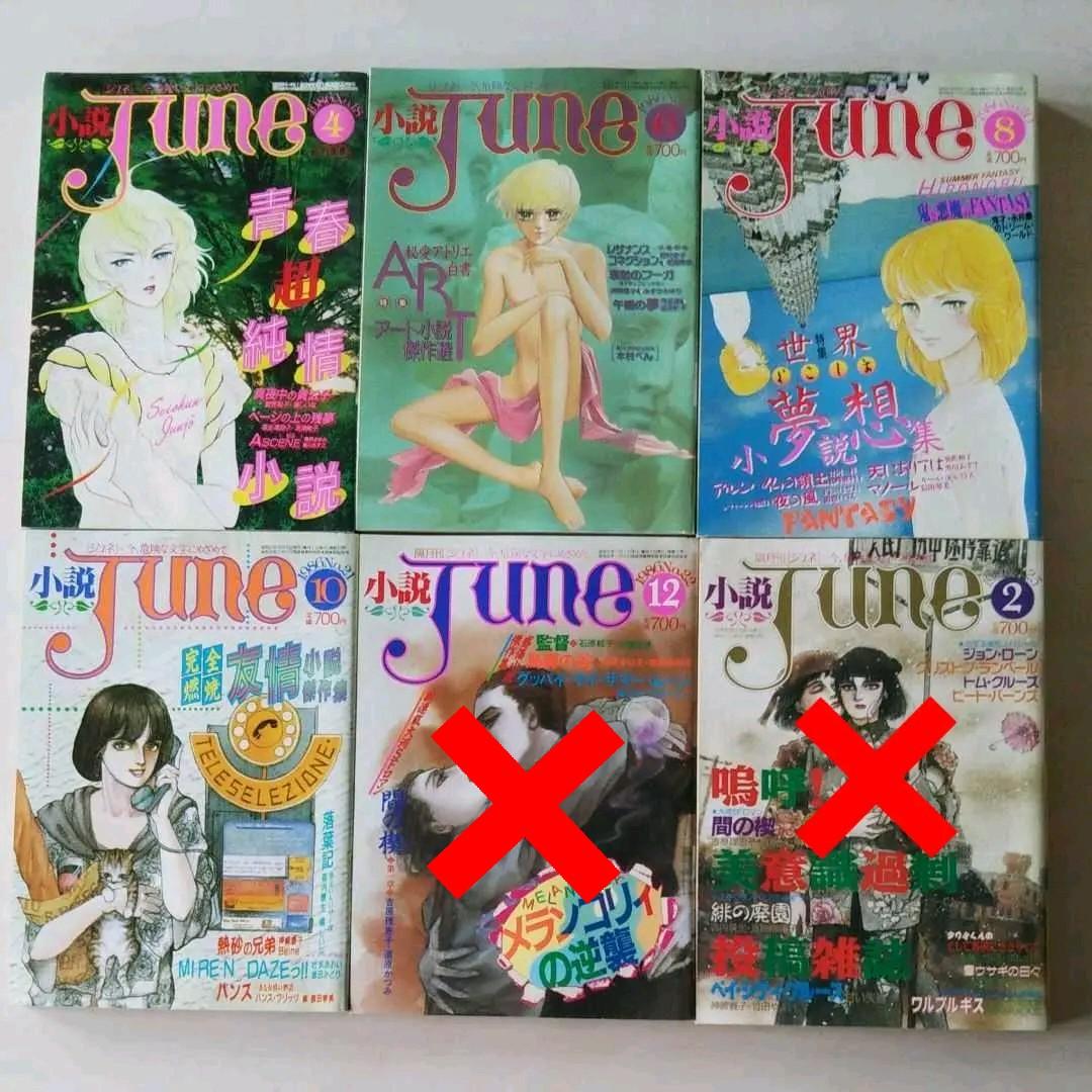 小説JUNE 1985～1989年11冊セット