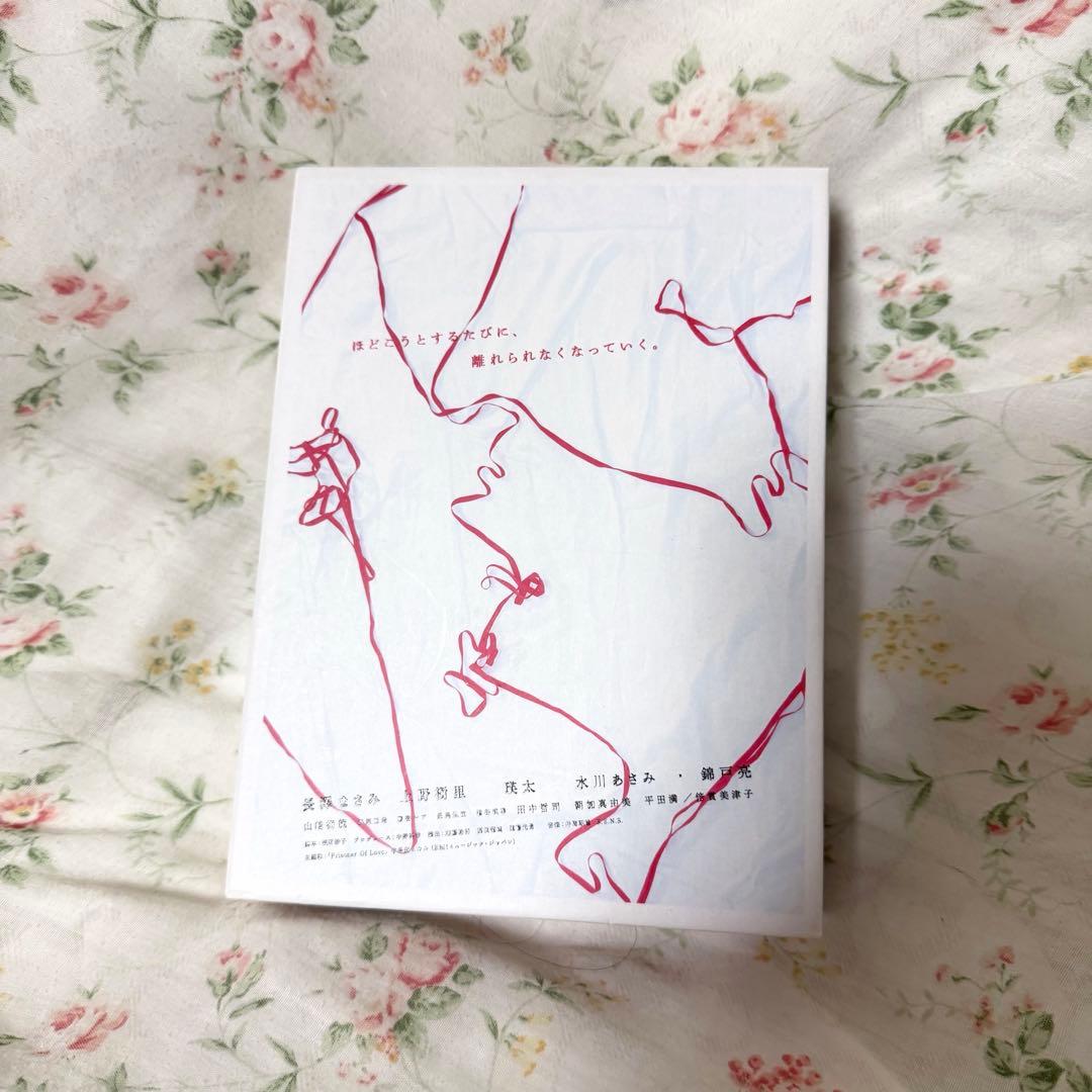 【特典付き】ラスト・フレンズ ディレクターズカット完全版 DVD-BOX