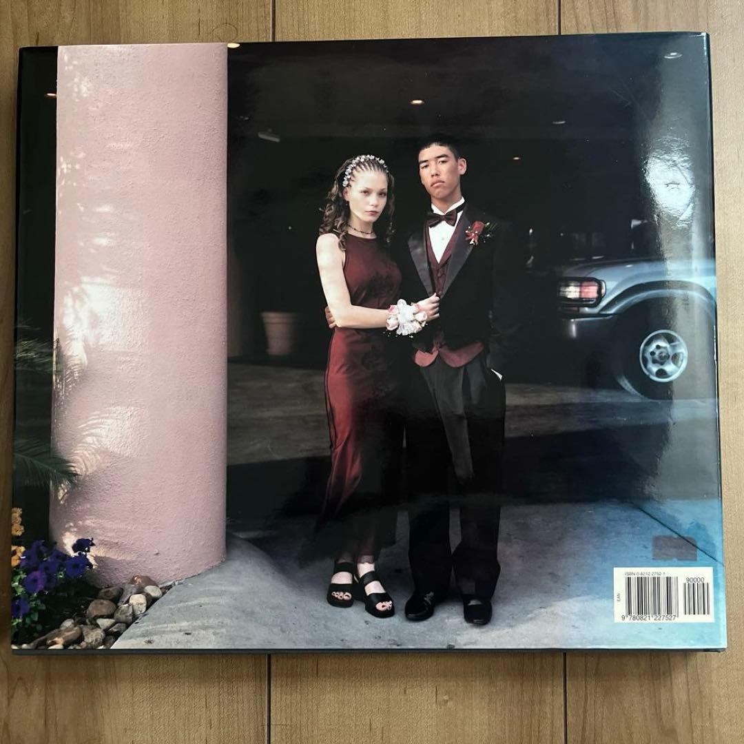 Joel Sternfeld / Stranger Passing 写真集