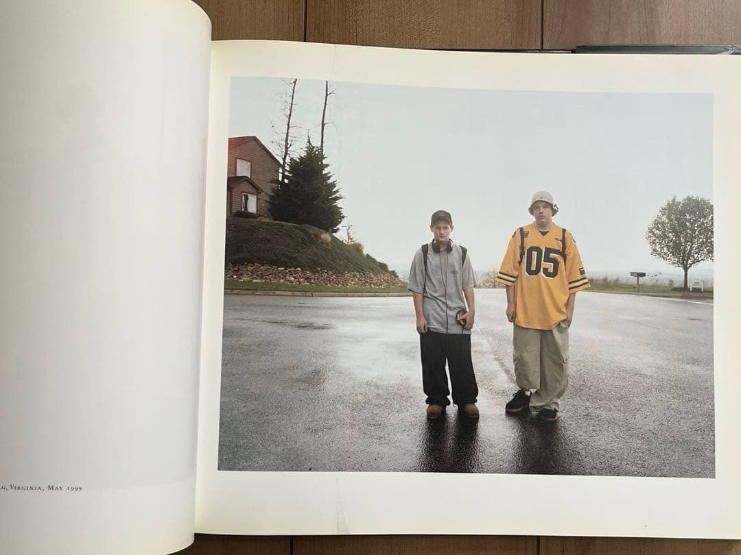 Joel Sternfeld / Stranger Passing 写真集