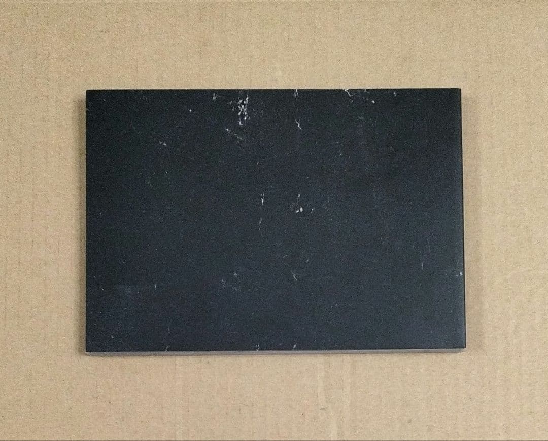 BUCK-TICK FISH TANKer's ONLY 2006 特典写真集