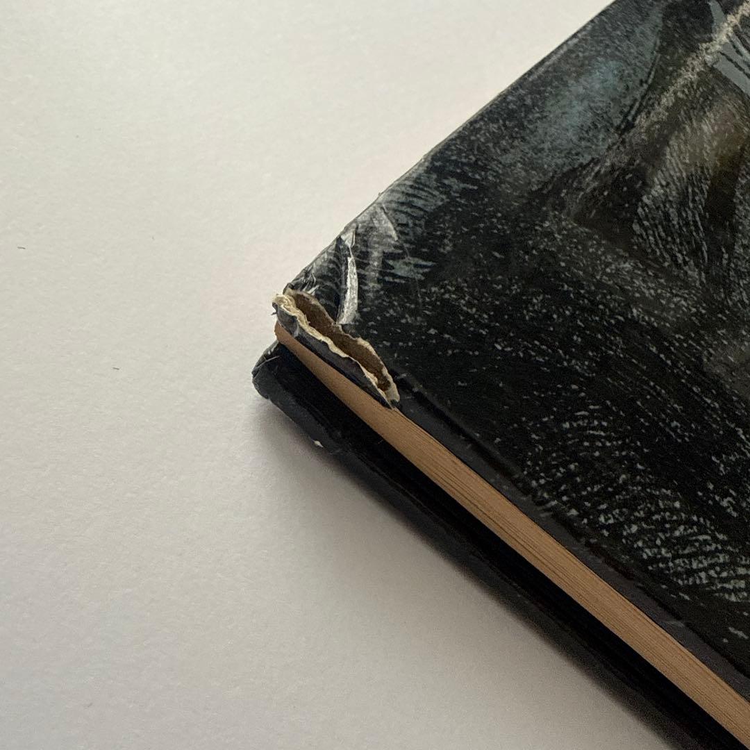 ゴヤ版画選集 特装版 毎日新聞社 1972年刊 GOYA 画集