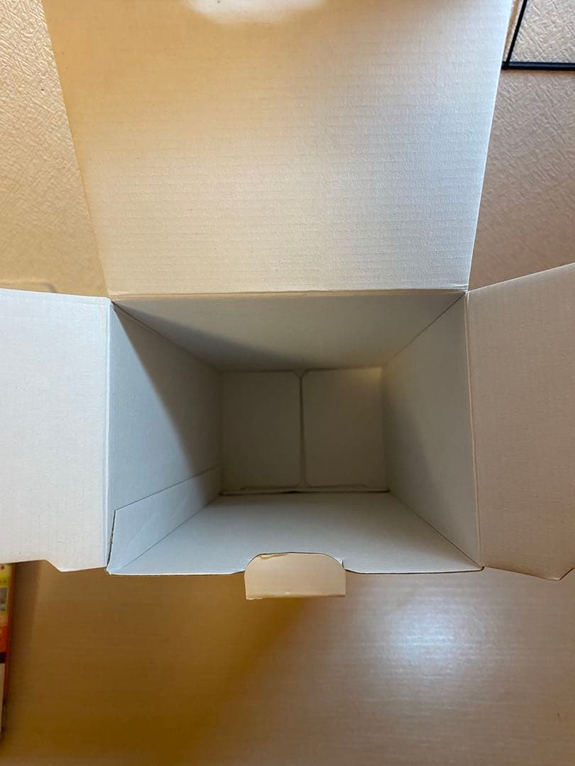 Nintendo Switch Lite コーラル あつまれ　動物の森