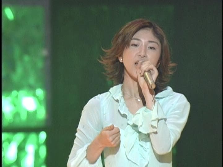 野猿 2000GTR Budokan Limited Inter Cooler～