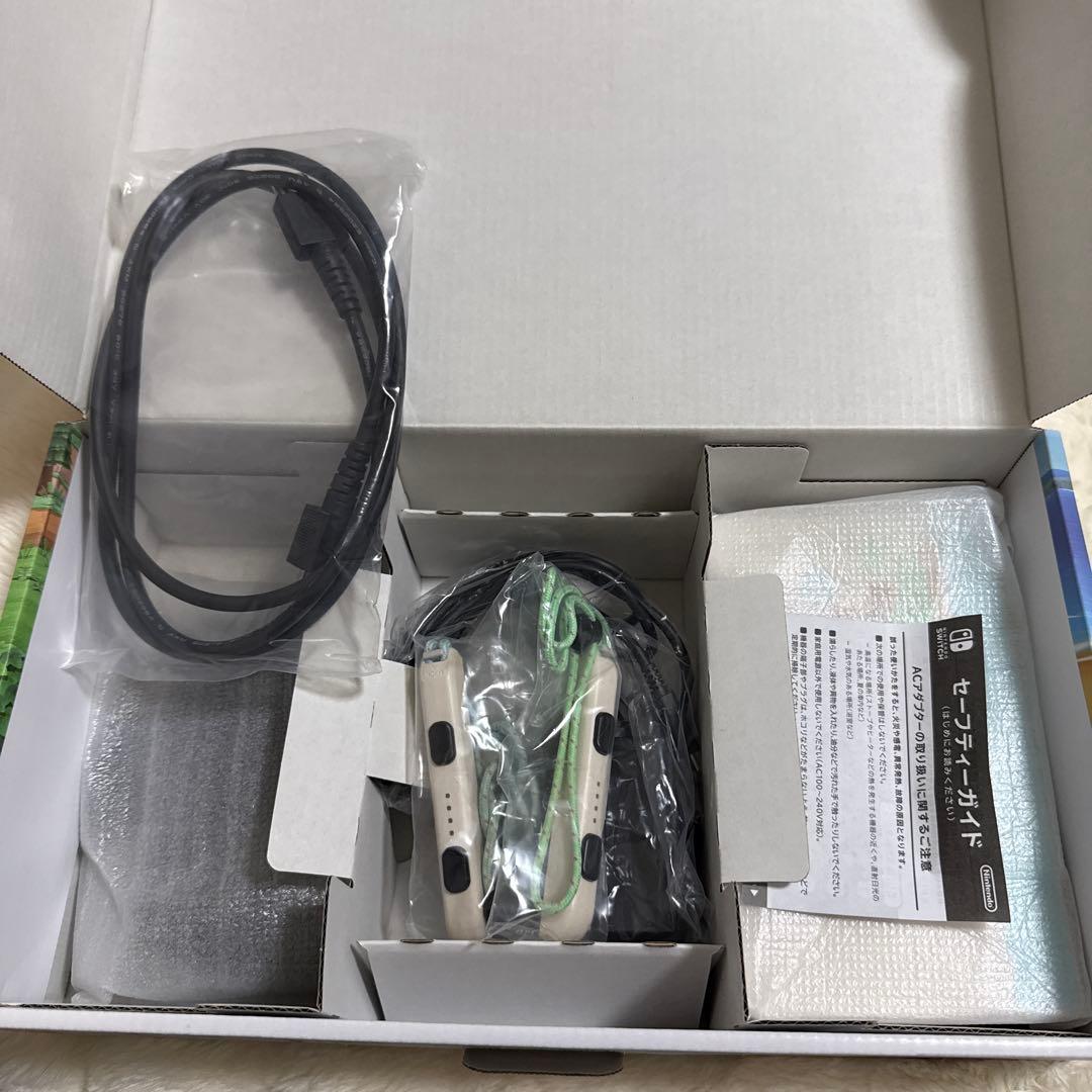 Nintendo Switch あつまれどうぶつの森セット 本体　ケース付き