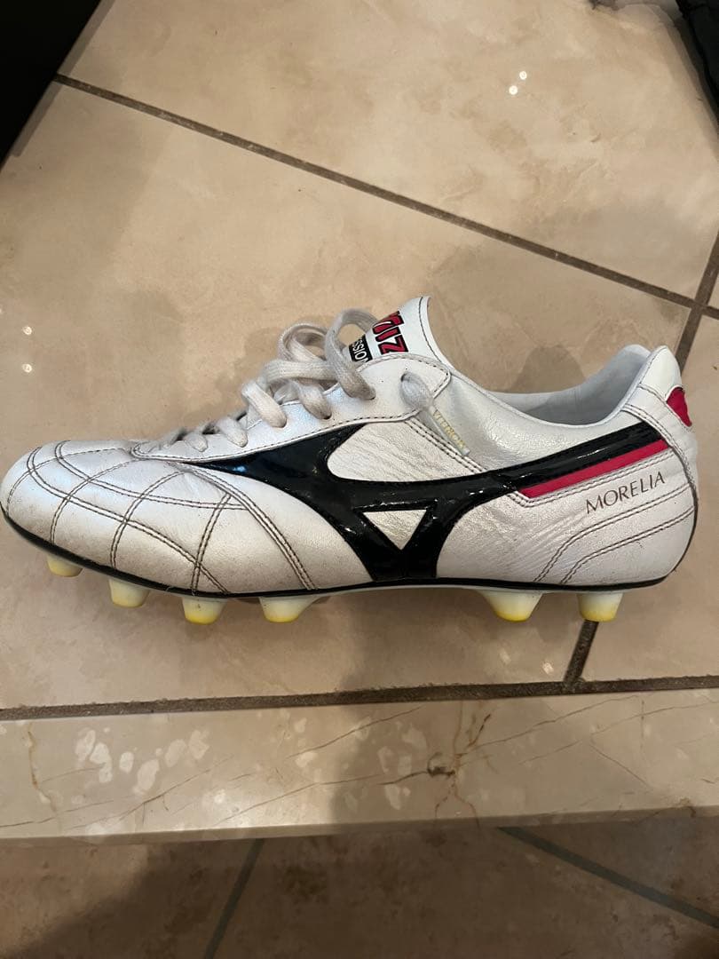 Mizuno Morelia2Japan クロスステッチ　　　25.5