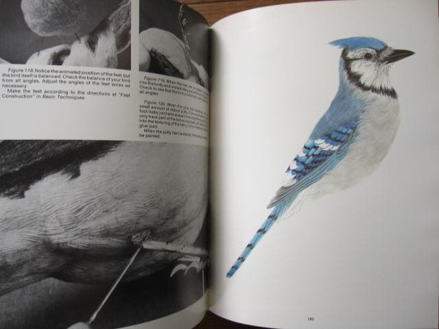 Songbird Carving II　Rosalyn Leach Daisey