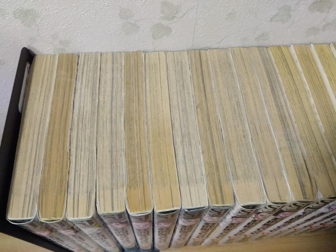 狂四郎2030全20巻セット Ｂ6サイズコミック 徳弘正也