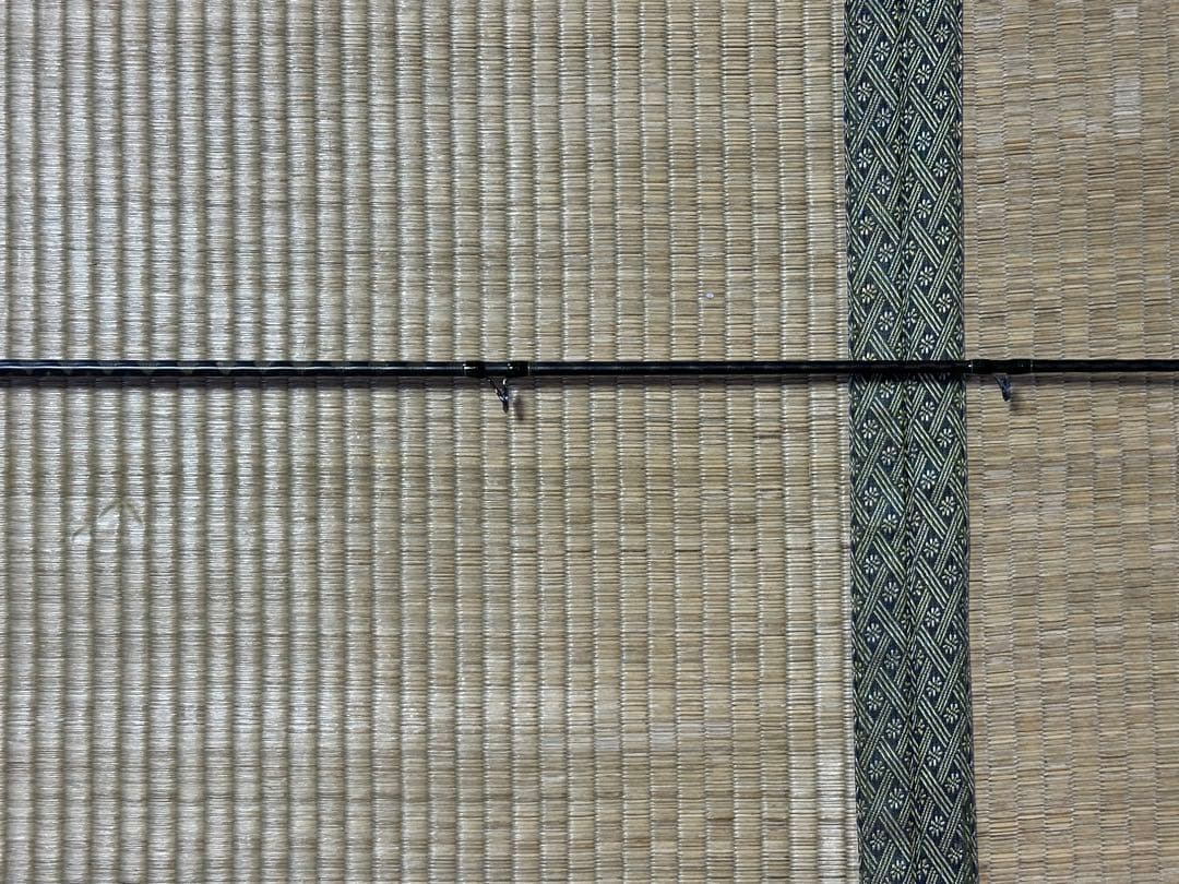 メガバス デストロイヤー オロチ F4-65DG