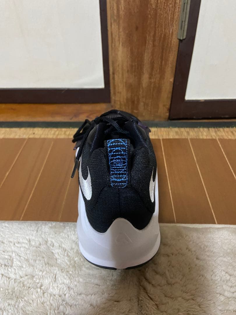 NIKE ズームフリーク3