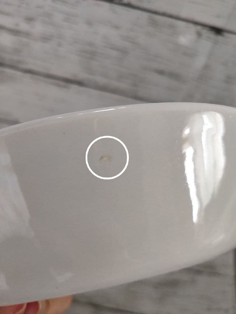 midwinter スパニッシュガーデン サラダ皿 5枚セット