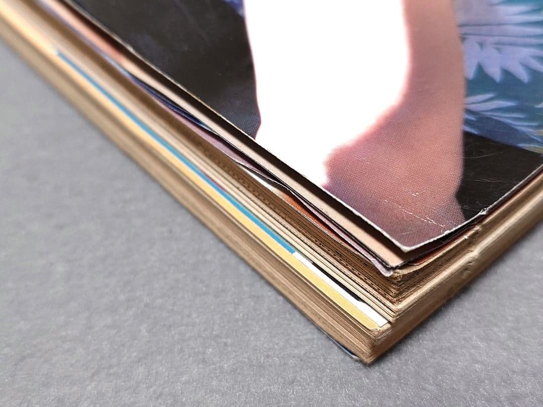 ヤングアニマル1999年12月10日23号ベルセルクポスター付録未切/三浦建太郎