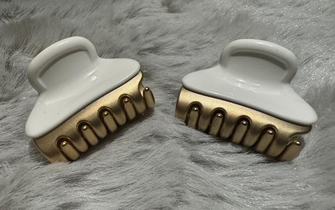 ALEXANDRE DE PARIS / VENDOMEクリップ 2個セット