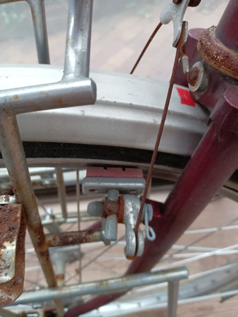 片倉シルクランドナー