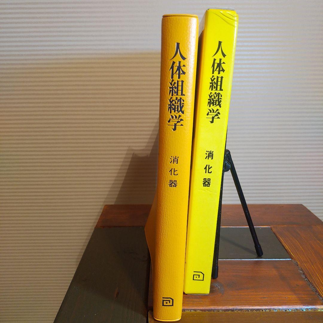 人体組織学　消化器