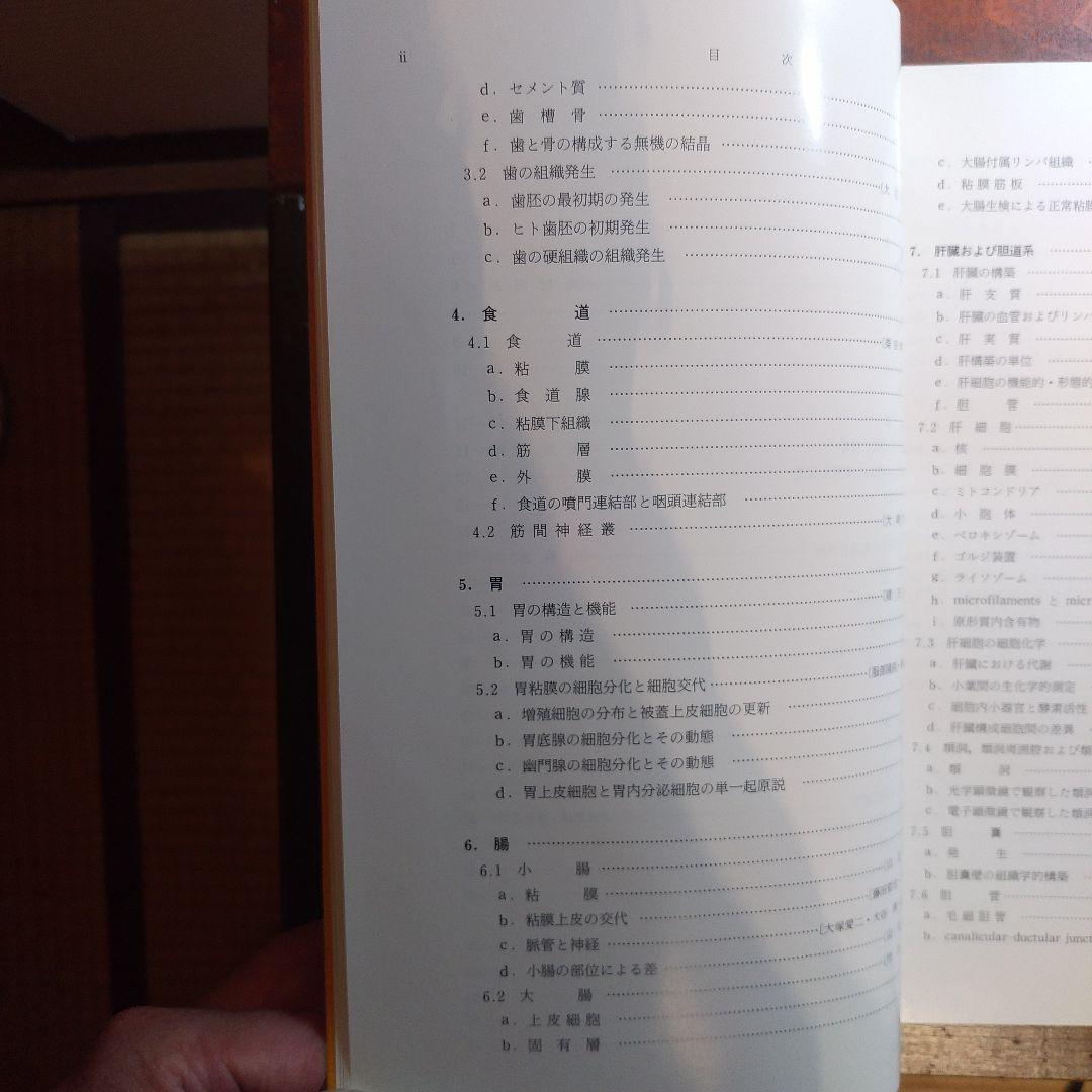 人体組織学　消化器