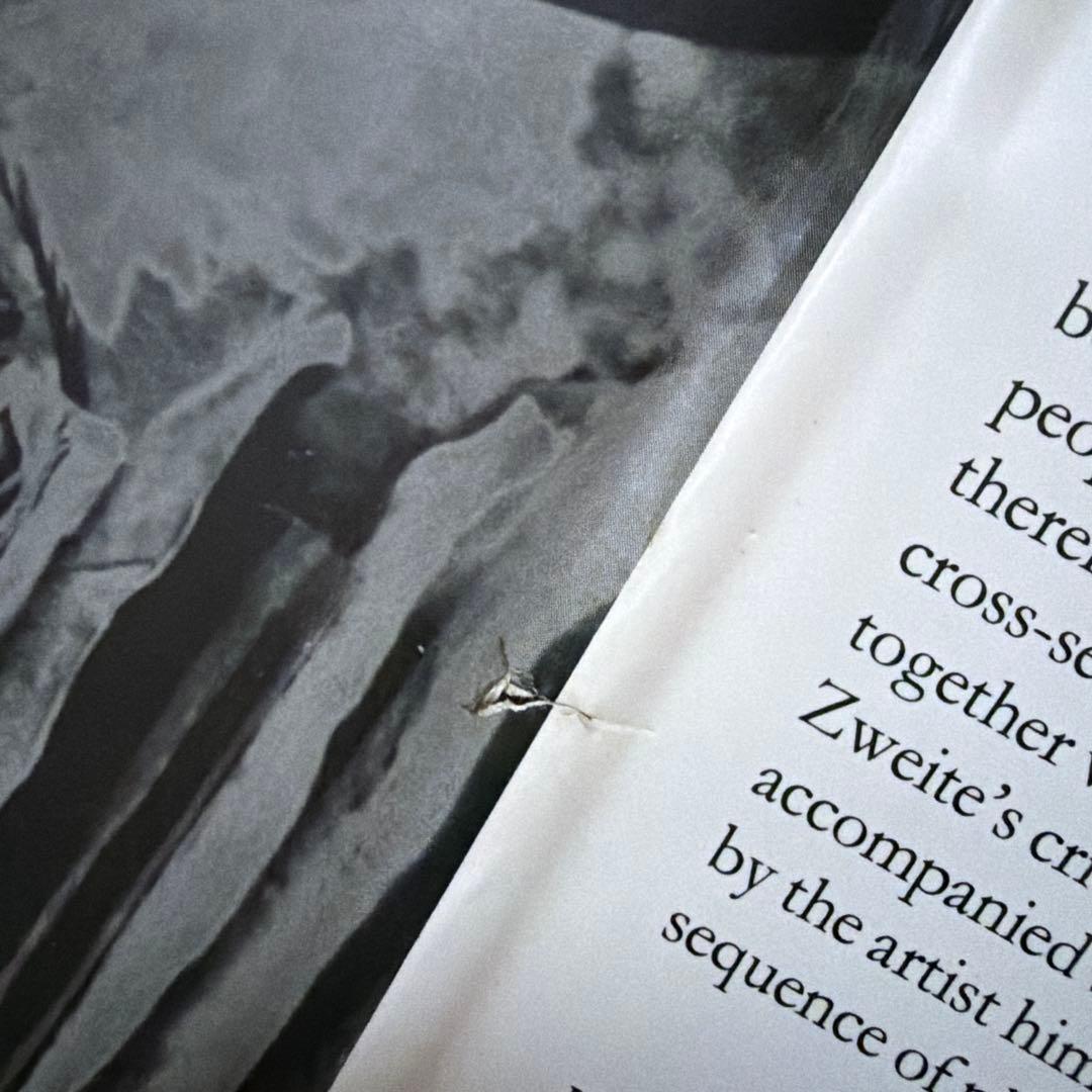 アート・デザイン・音楽 Anselm Kiefer The High Priestess