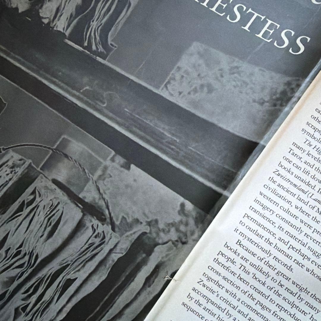 アート・デザイン・音楽 Anselm Kiefer The High Priestess