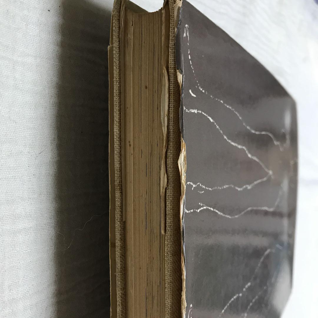 ファニー　ダルナ画集　フランス、パリの女性のシンプルでおしゃれなスタイル画