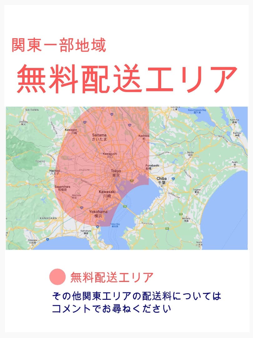 即日発送⭐︎丁寧梱包パスバビー12AH⭐️子供乗せ電動アシスト自転車Y3290