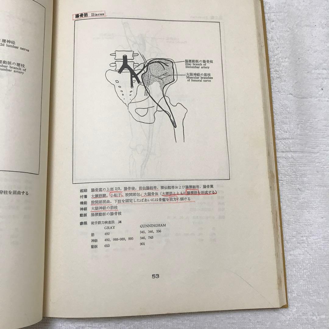 図説　筋の機能解剖
