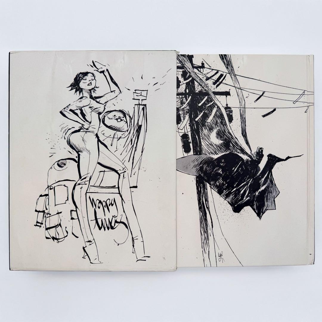 Ashley Wood Extreme Finale 画集 アシュレイ・ウッド