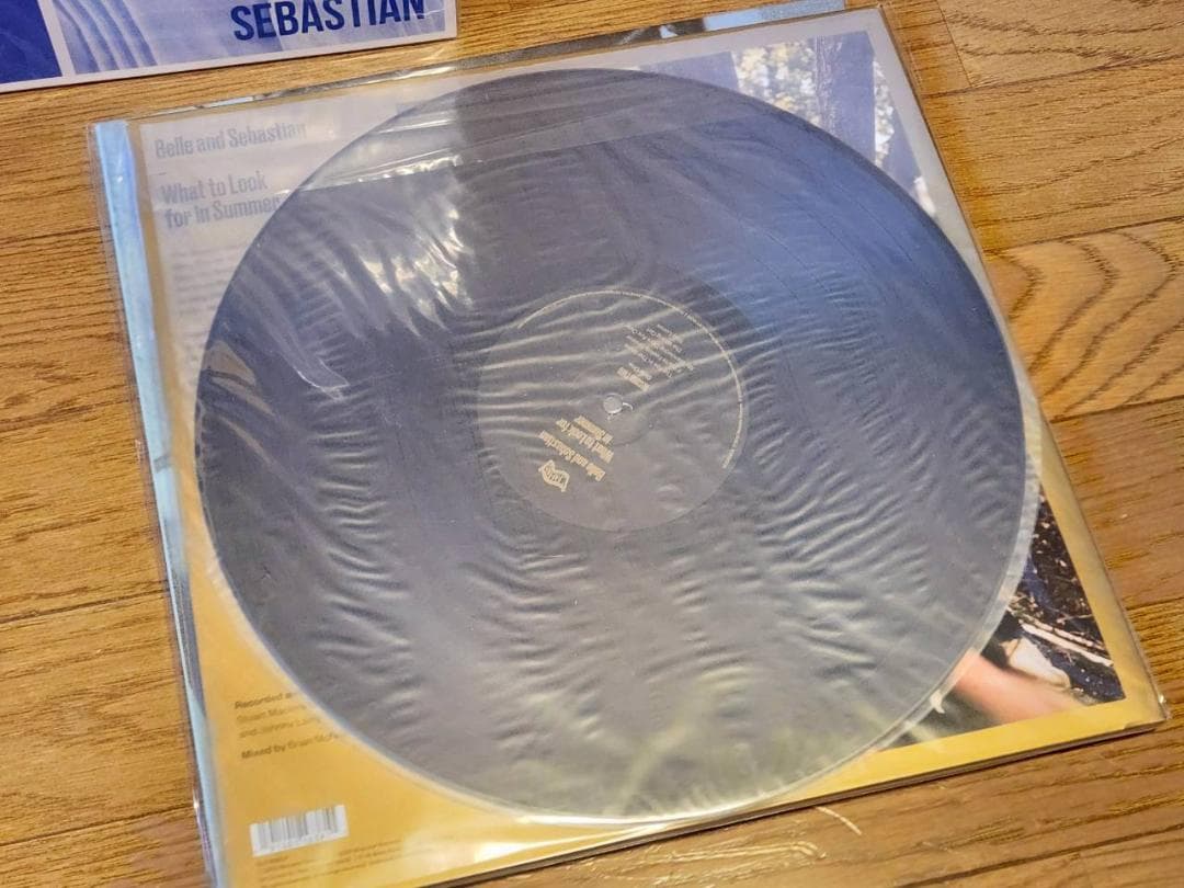 洋楽 Belle and Sebastian What to Look for LP