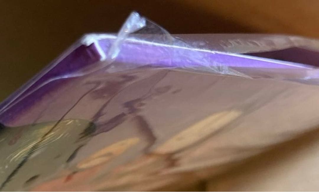 レア！ソウルフラワーユニオン エレクトロアジールバップ レコード LP