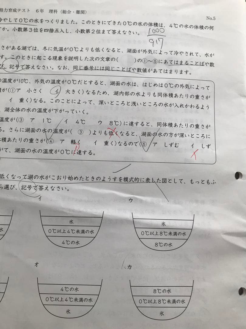 日能研学習力育成テスト、合格力実践テスト、難関校トライアル他6年2024