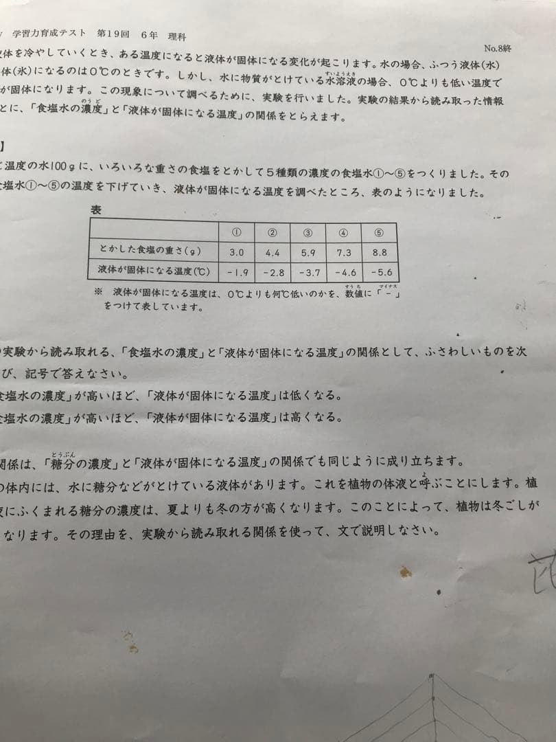 日能研学習力育成テスト、合格力実践テスト、難関校トライアル他6年2024