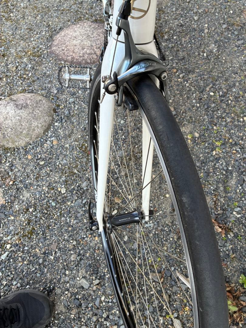 Khodaabloom FARNA Tiagra 身長145-160cm