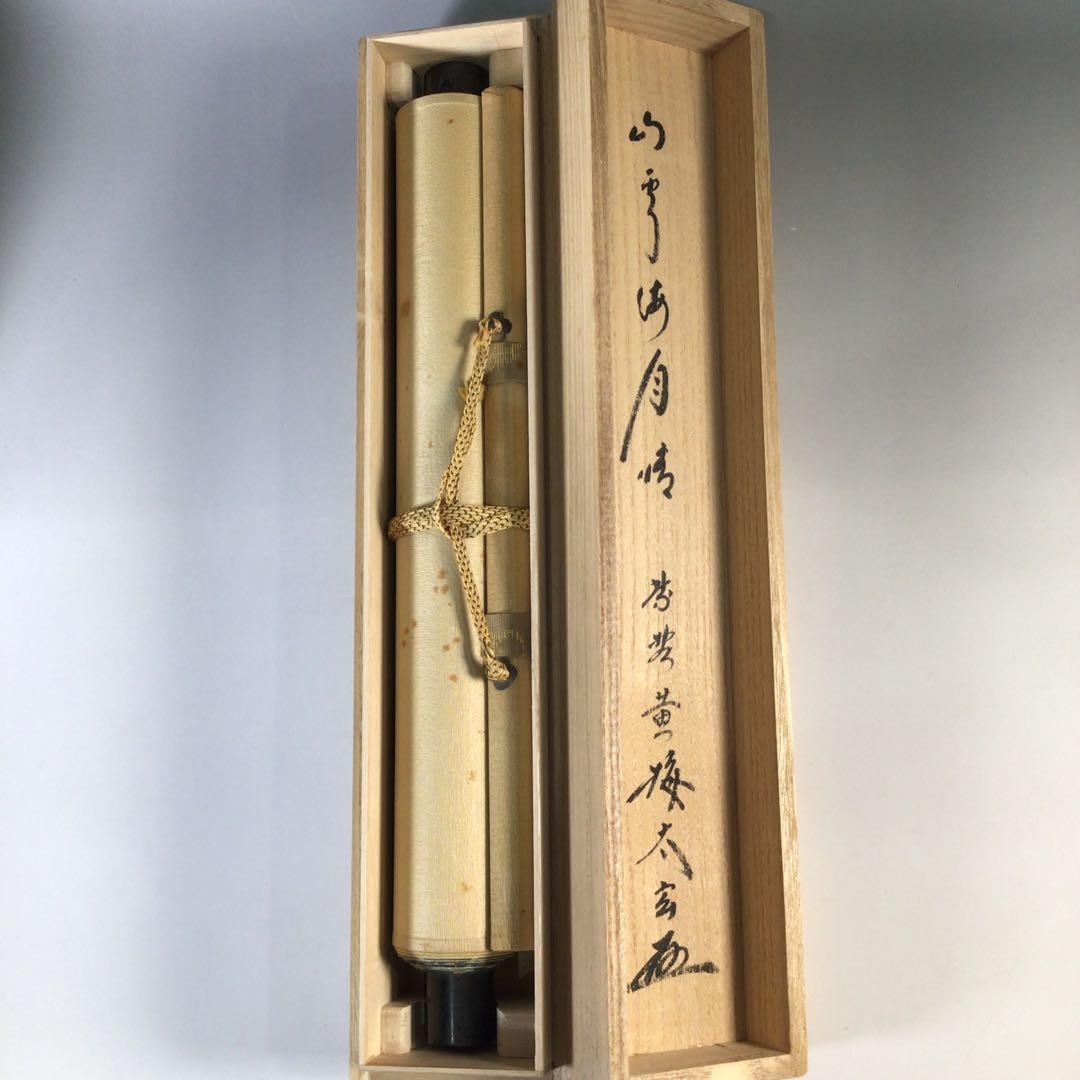 Ｇ２５２　掛軸　大徳寺　小林太玄　『山雲海月情』　共箱　『真作』　肉筆　一行書