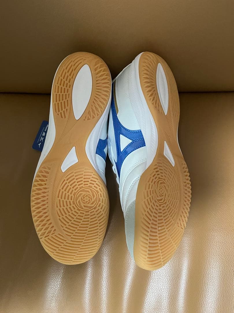 MIZUNO モレリアサラ PRO IN