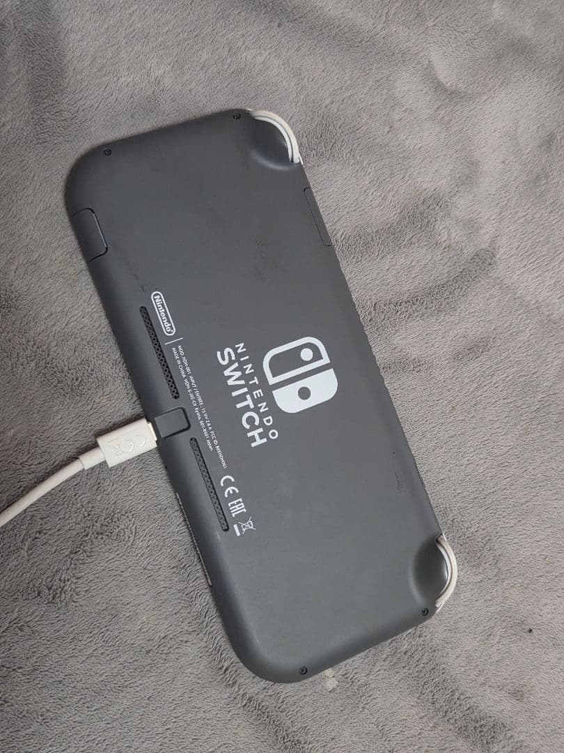 Nintendo Switch Lite 本体 クリアケース付 本日までの値段