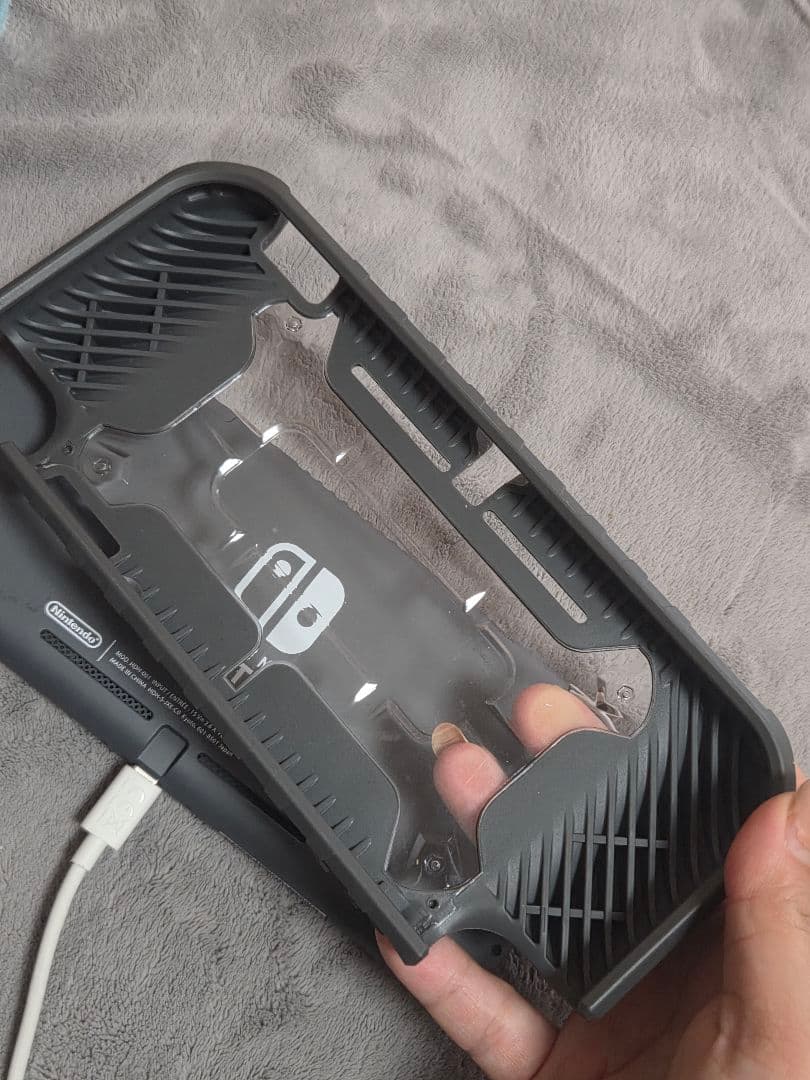 Nintendo Switch Lite 本体 クリアケース付 本日までの値段