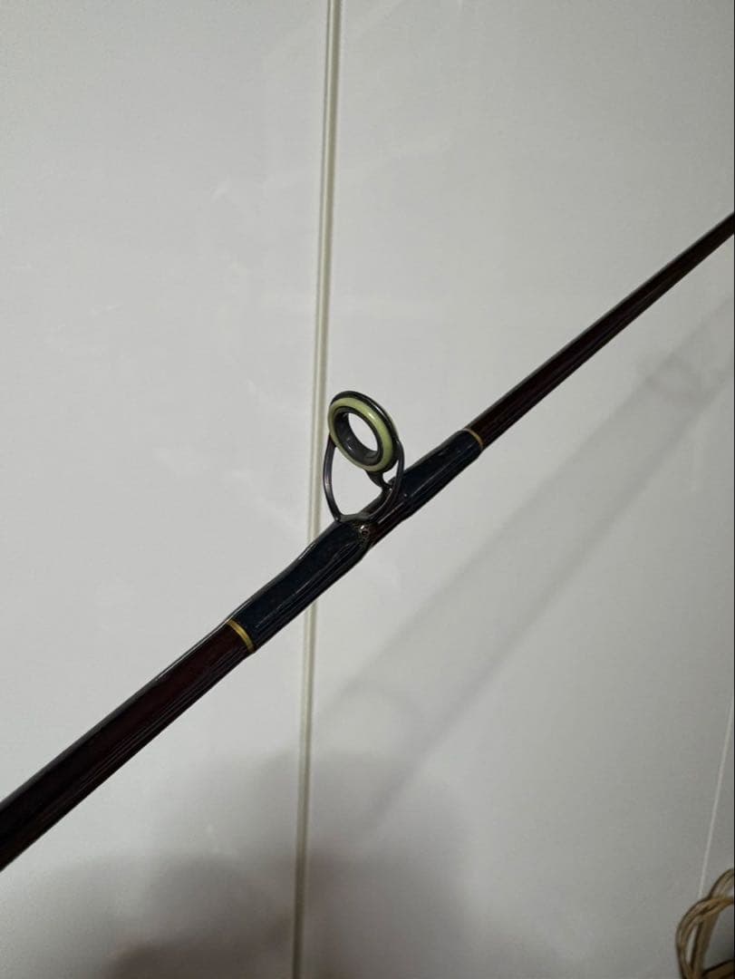 NFT バスライズ EX 2551 トップ キャスティングロッド old