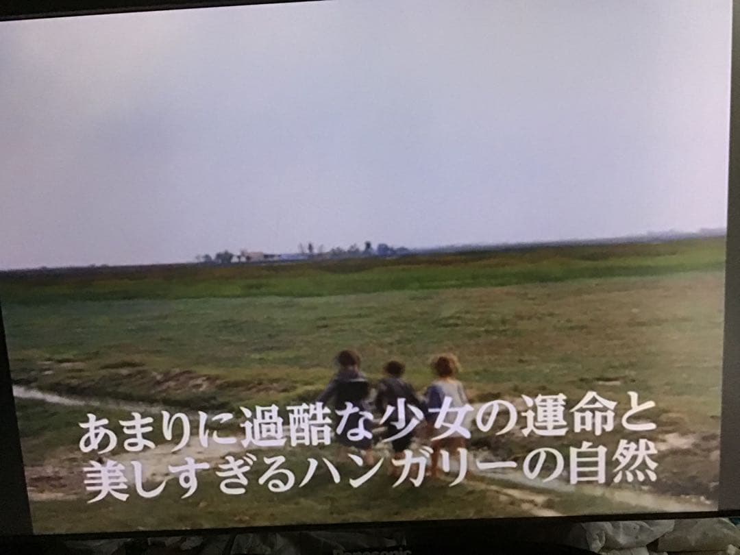 ◆だれのものでもないチェレ◆DVD 希少廃盤　レア視聴確認済み　ジュニアキッズ
