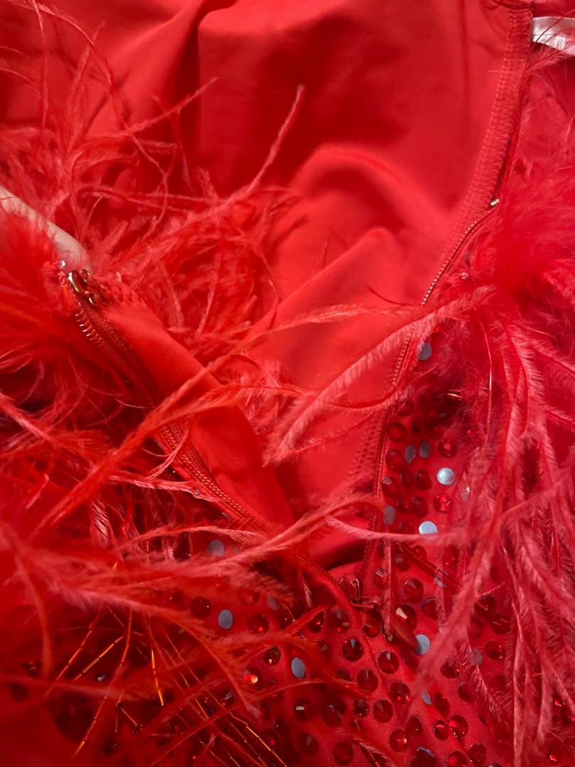 ラテンダンス　ドレス　衣装 社交ダンス 赤フリンジ羽毛ドレス　ラテンドレス