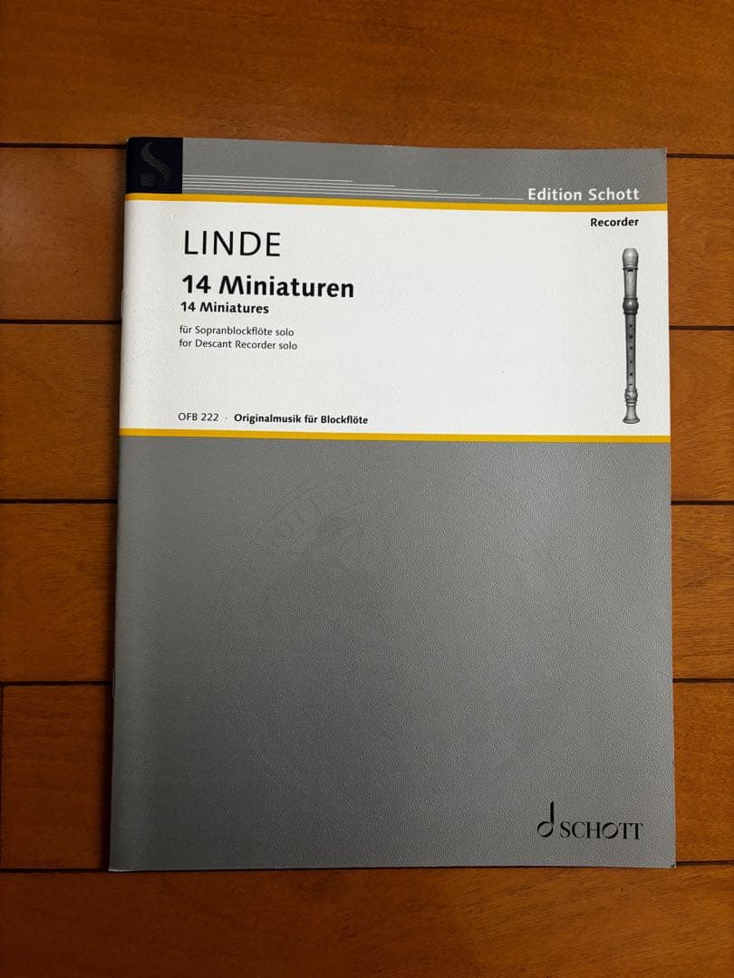 リコーダー教則本・楽譜 6冊セット（ハウェ、ブッケ、リンデ、シュテープス他）
