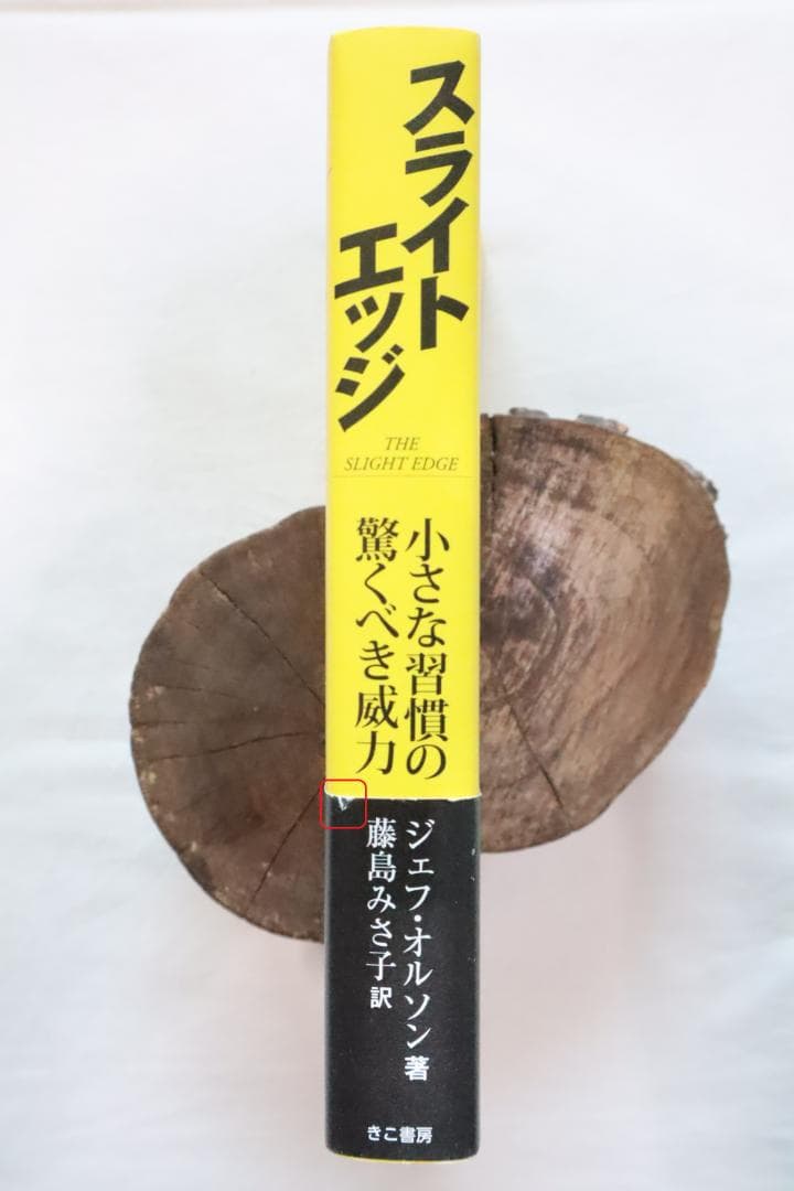 スライトエッジ 小さな習慣の驚くべき威力 ジェフ・オルソン著 藤島みさ子訳
