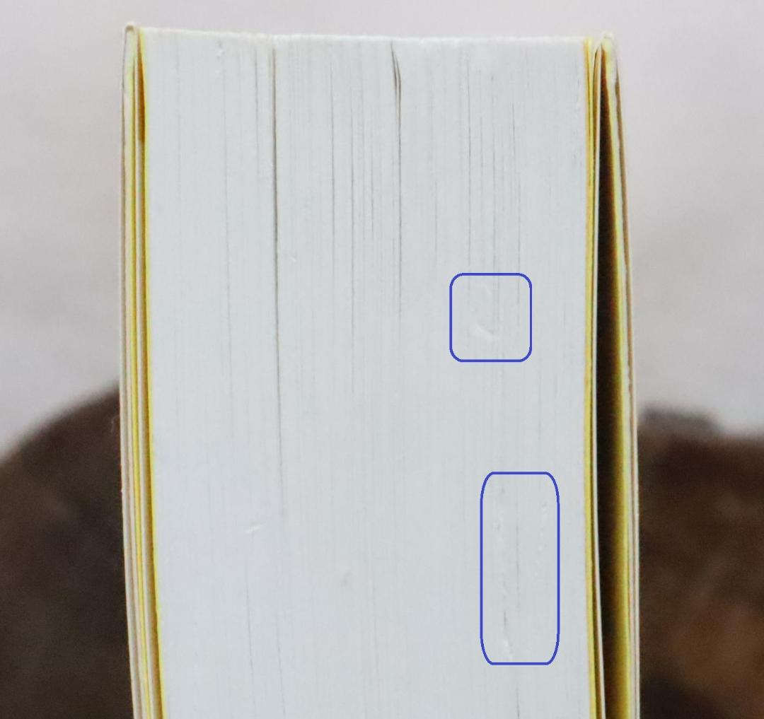 スライトエッジ 小さな習慣の驚くべき威力 ジェフ・オルソン著 藤島みさ子訳