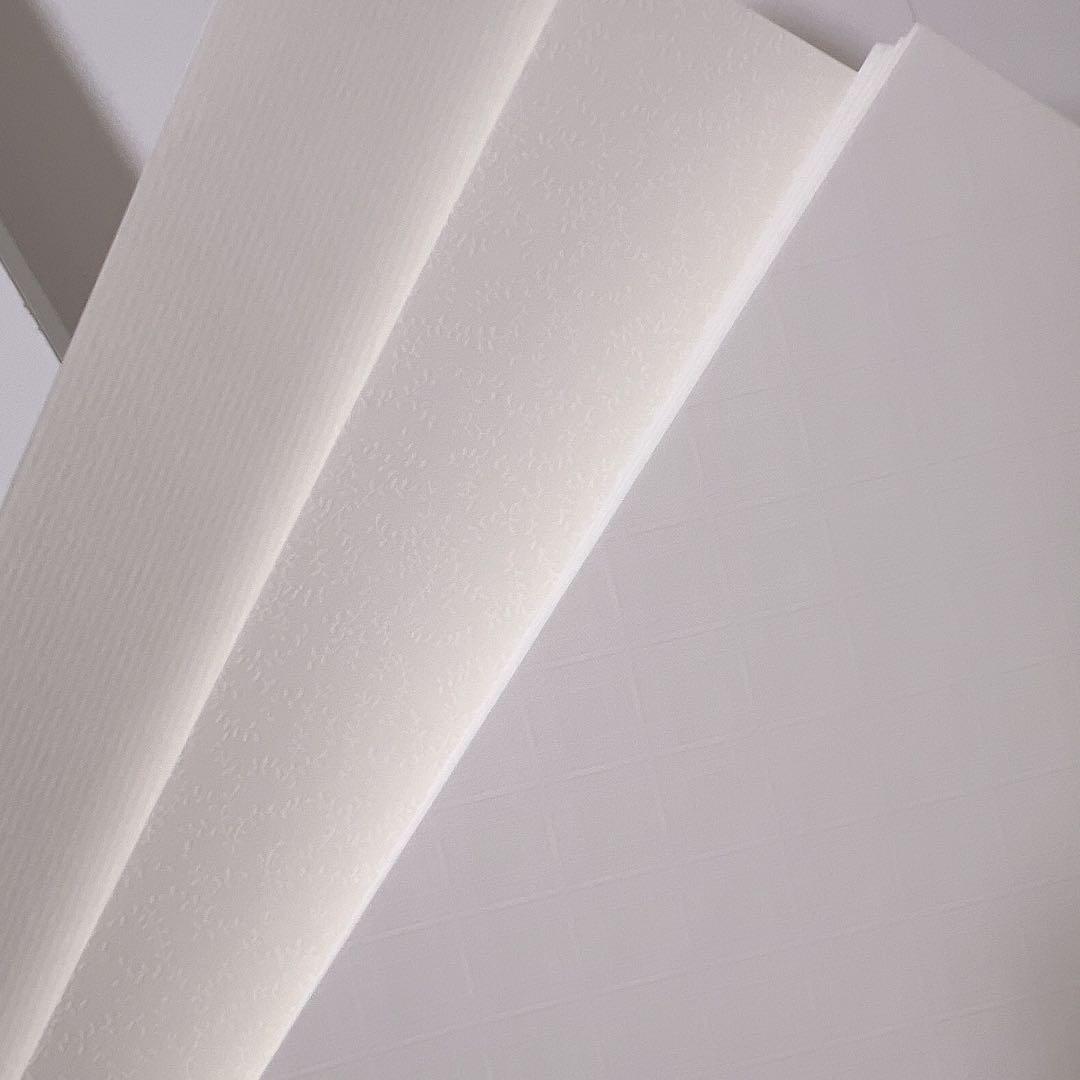 特殊紙 デザペ ミランダ カッティングダイ 紙モノ コラージュ素材 まとめ売り