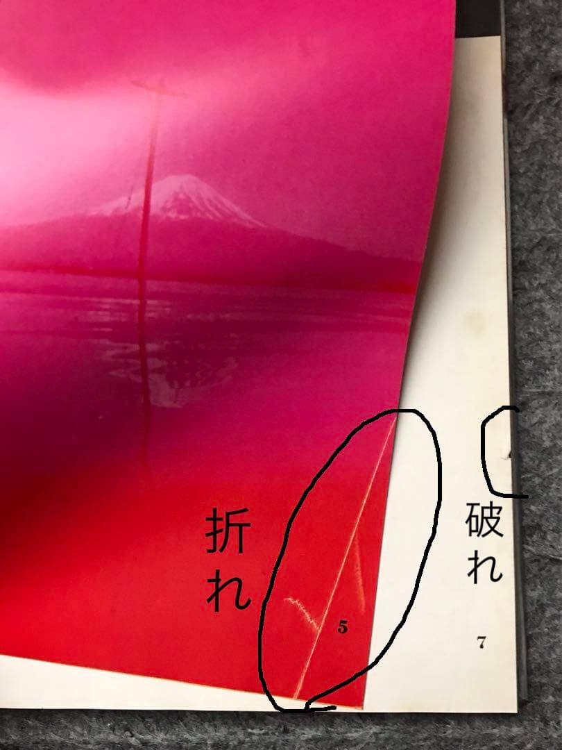 ジャパネスク JAPANESQUE / 奈良原一高 Ikko Narahara