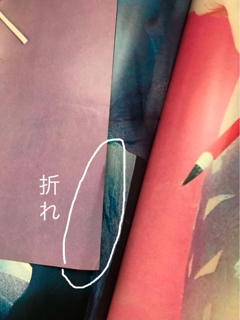 ジャパネスク JAPANESQUE / 奈良原一高 Ikko Narahara