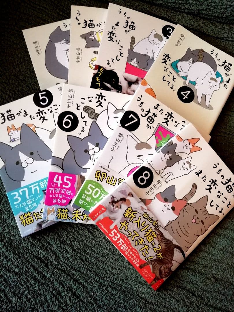 ！注！うちの猫がまた変なことしてる。　卵山玉子　1 2 3 4 5 6 7 8