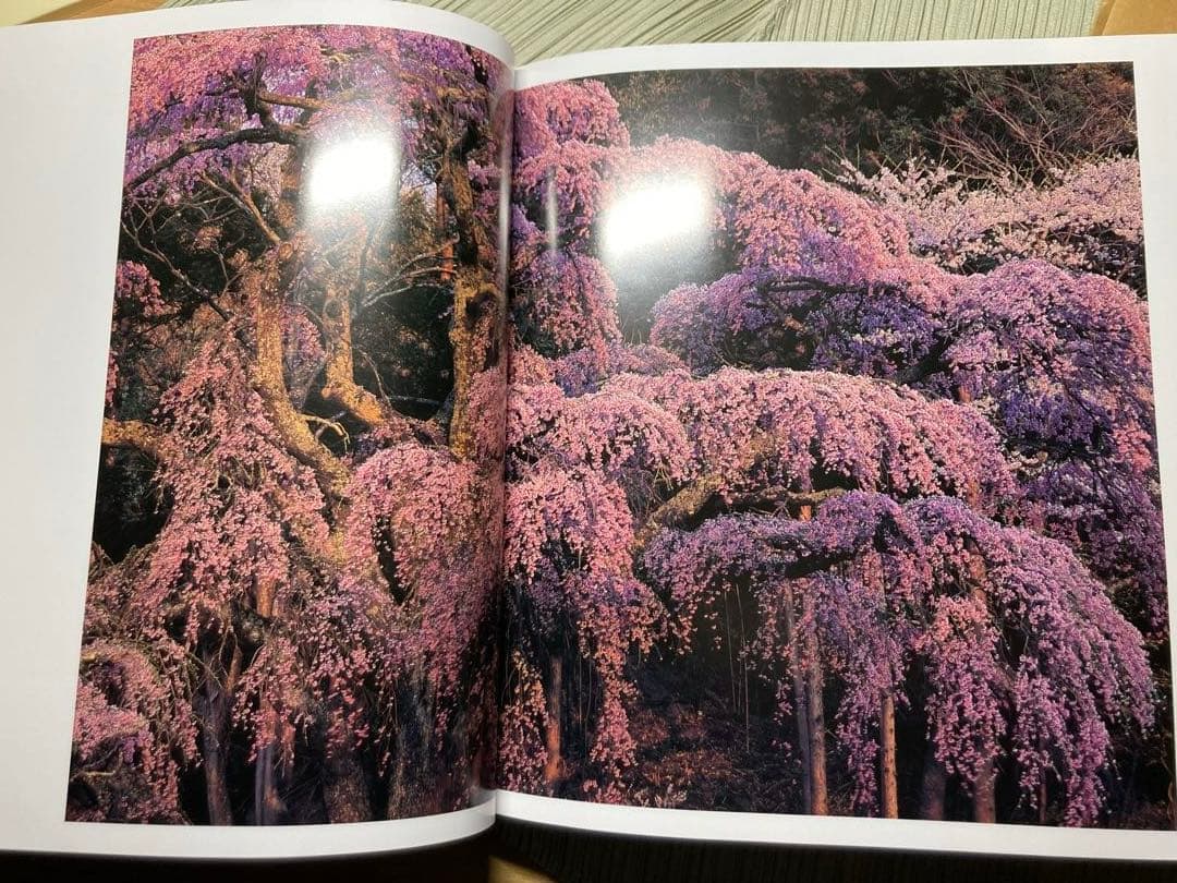 竹内敏信　天地(あめつち)サイン入り貴重作品集