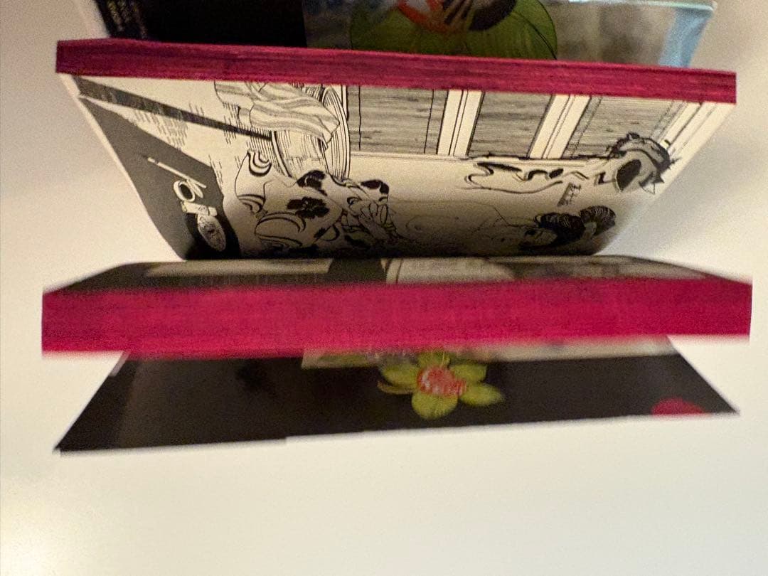 特別版初回限定生産2枚組セット「さくらん」 映画DVD＆SAYURIプレミアム